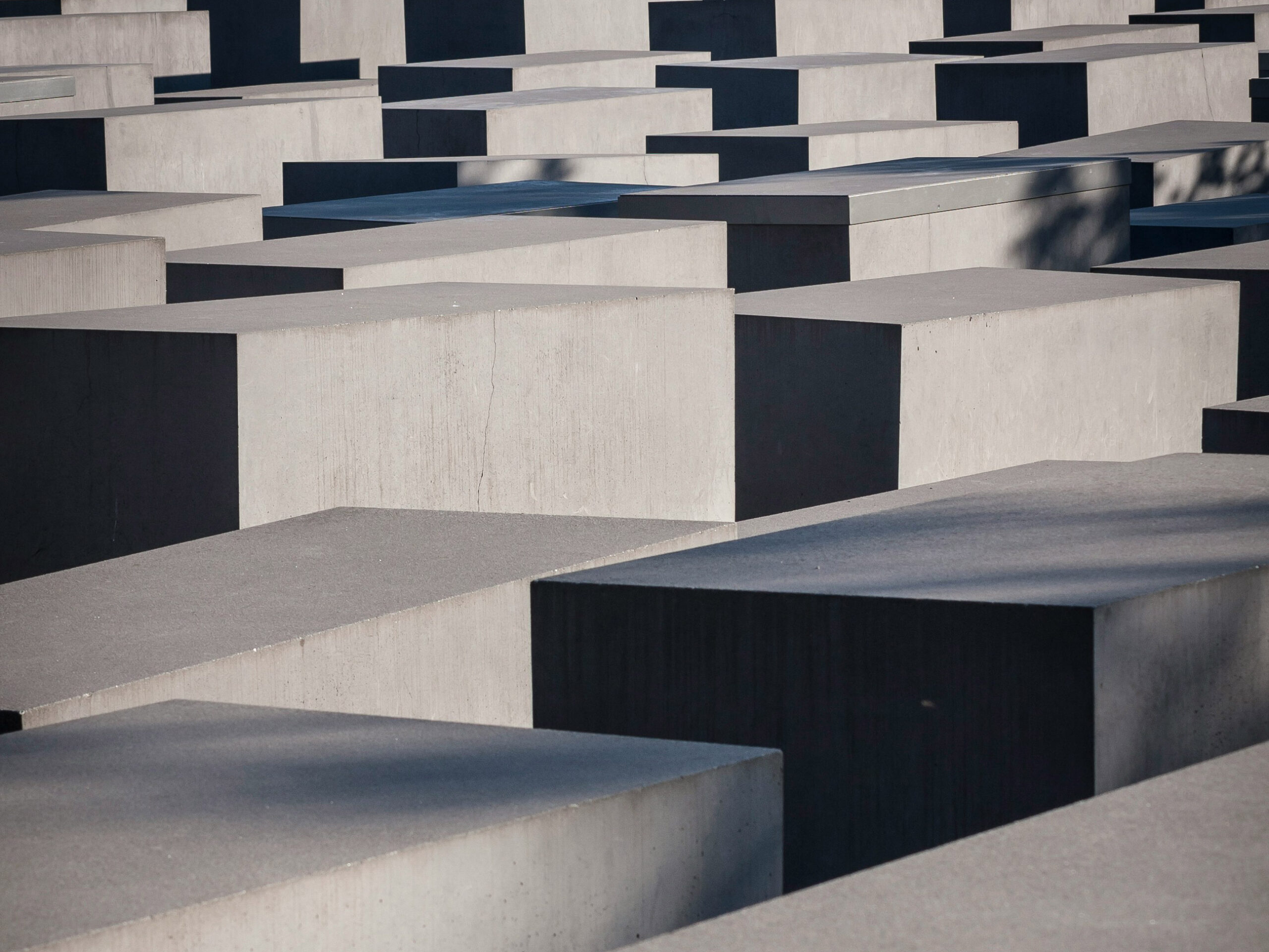 craig-cooper-SUhUFPVyXTk-unsplash